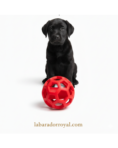 FlexiBall Pro