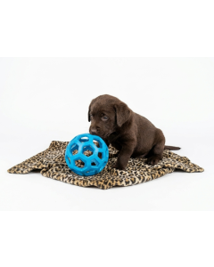 Flexiball