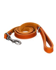 Leren riem voor uw Labrador Cognac